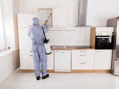 About Gulfport German Roach Pros - german roach extermination gulfport ms experts in Gulfport
